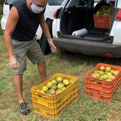 Buscando Frutas E Verduras Na Fal.3