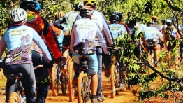 Imagem com diversas duplas do DV na Trilha, percorrendo trilha do Jardim Botânico de Brasília